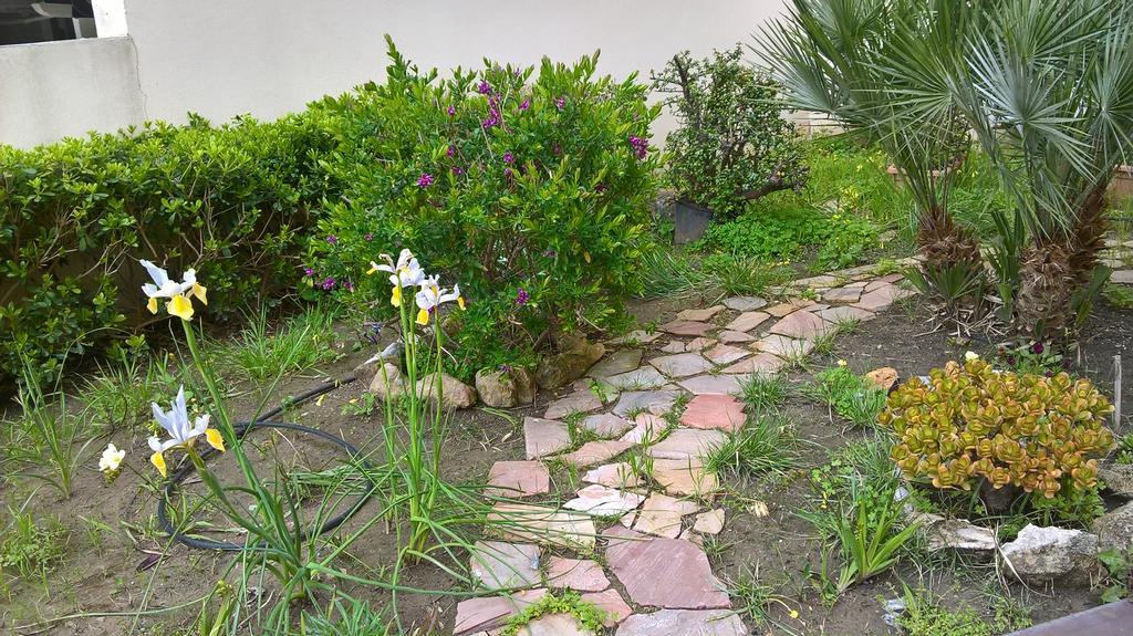 Appartamento Tulipano Αλγκέρο Εξωτερικό φωτογραφία